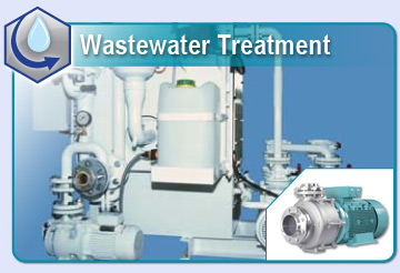 Marine Ballast Water and Wastewater Treatment