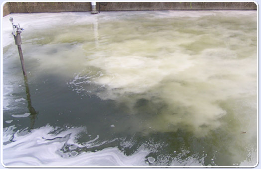 Liquid-Gas mixing pump in action in DAF tank