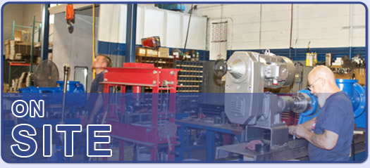 Shanley Pump and Equipment mechanics working on pumps