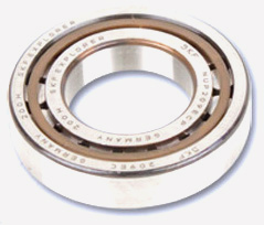 Allweiler® OEM Replacement Pump Bearings