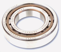 OEM Replacement Pump Bearings