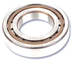 Allweiler® OEM Replacement Pump Bearings